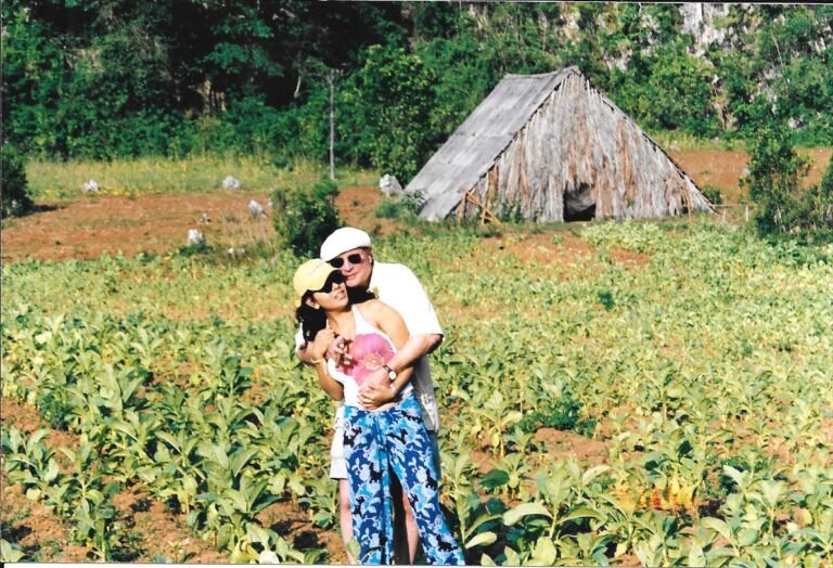 Country and tobacco plantation