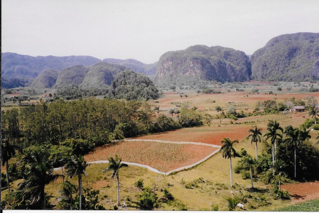 pinar del rio tabac
